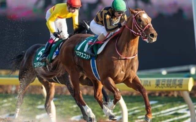 【武蔵野S】フルゲート16頭に19頭　抽選・除外の対象馬はオータムリーフSにも登録/出走馬決定順