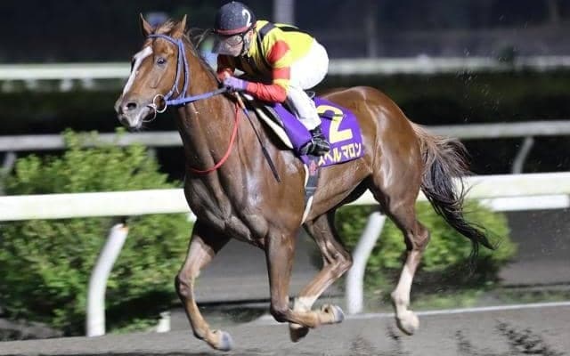 【高知・黒潮マイルCS結果】スペルマロンが断然人気に応え5馬身差V