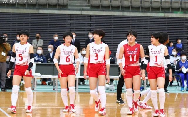 『春高バレー』特設サイトを開設