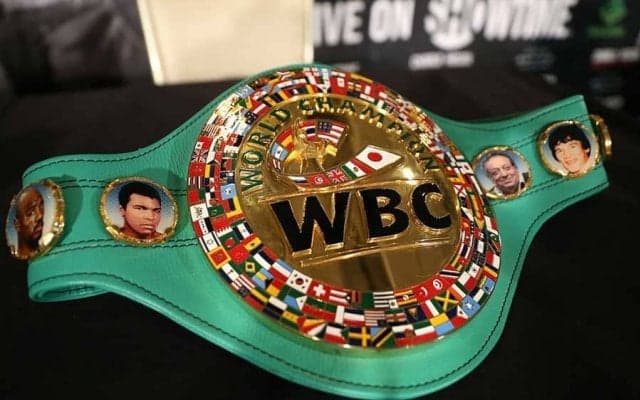 WBCが異例の新階級「ブリッジャー級」設立　妹救った勇敢な米6歳少年が名前の由来に