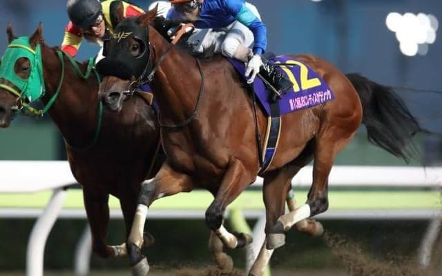 ファッショニスタが引退、繁殖馬に　JBCレディスクラシックなどダートグレード競走3勝