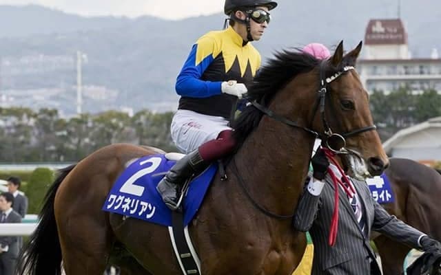 【JRA】ダービー馬ワグネリアンは年内休養、来春の目標は大阪杯