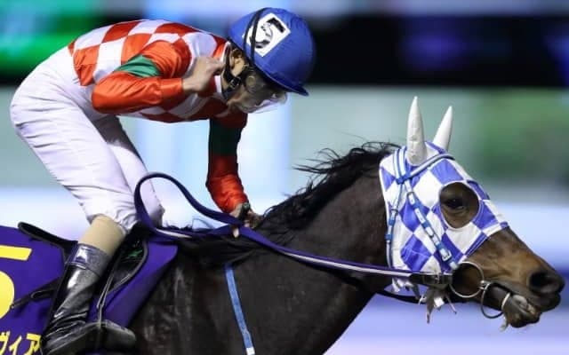 【ローレル賞】森泰斗騎手「素質が高くて今後を楽しみにしている馬」　ケラススヴィアが無傷の3連勝で重賞初制覇