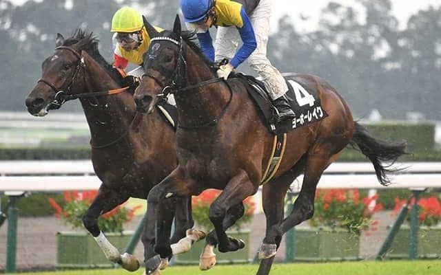 【次走】2戦2勝ヨーホーレイクは武豊騎手とホープフルSへ