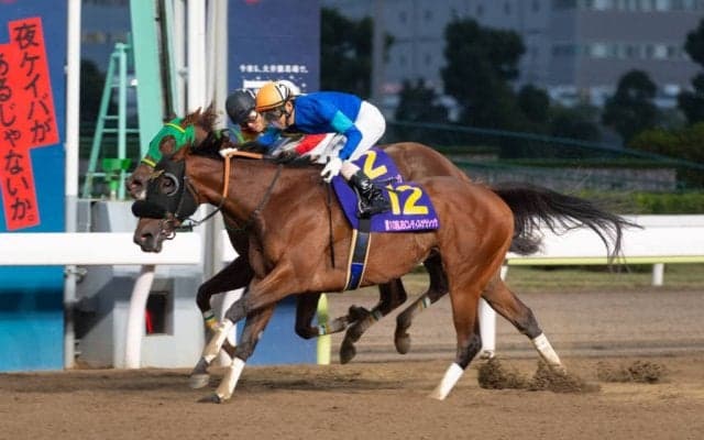 ファッショニスタが競走馬登録抹消