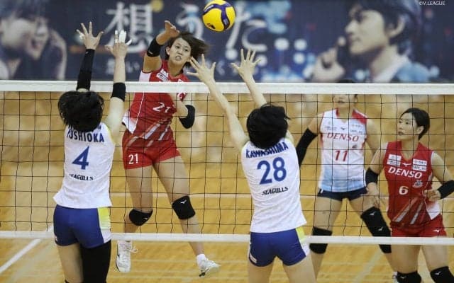 V1女子/11月14日,15日のホームゲーム情報