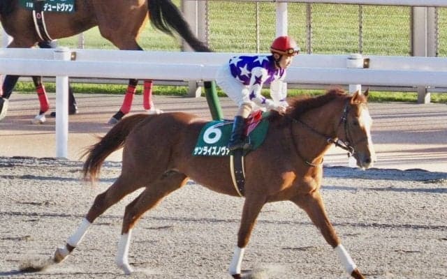 【武蔵野S】松若「馬から力を感じる」サンライズノヴァが重賞5勝目