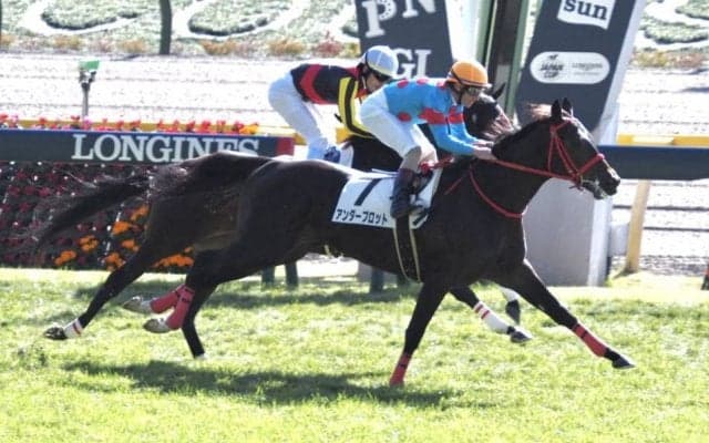 【新馬/東京4R】アンダープロットがデビューV！プレミアエンブレムは敗れる