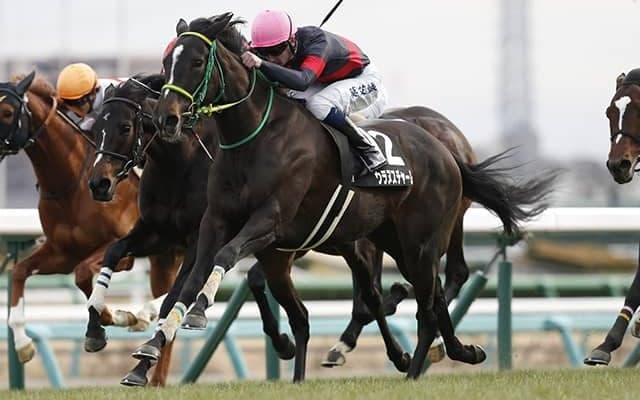 【エリザベス女王杯予想】 舞台替わりだからこそ狙える人気薄の“穴馬”とは!? パドックのスペシャリストが馬体から適性を診断！/JRAレース展望