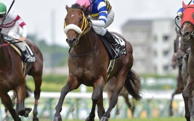 【福島記念前日オッズ】ヴァンケドミンゴが4.7倍で1番人気