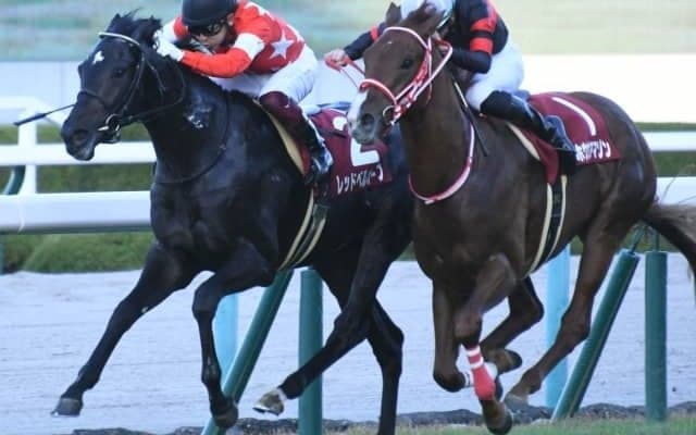 【デイリー杯2歳S結果】レッドベルオーブが競り合いを制しレコードV