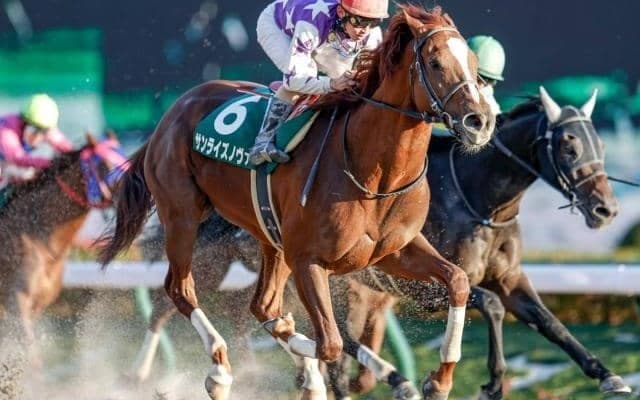 【武蔵野S結果】サンライズノヴァが差し切り重賞5勝目