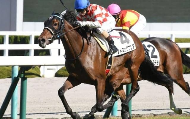 【阪神5R新馬戦結果】アトミックフレアが押し切り新馬勝ち
