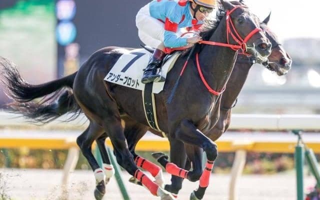 【東京4R新馬戦結果】アンダープロットが競り合いを制してV