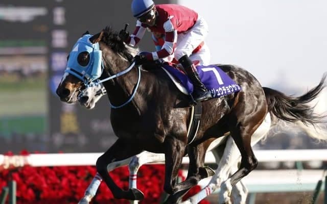 【本日の注目ポイント】阪神でデイリー杯2歳Sと京都ジャンプS、東京で武蔵野S