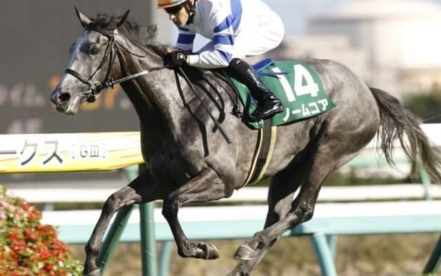 【エリザベス女王杯予想】新しい一面を見せたノームコアに期待