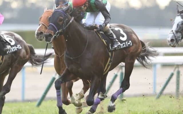 【福島記念予想】得意距離のバイオスパークを中心視