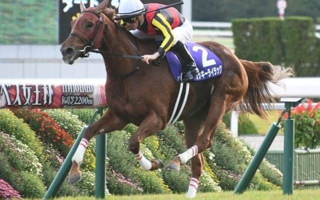 【本日の注目ポイント】秋の女王決定戦・エリザベス女王杯