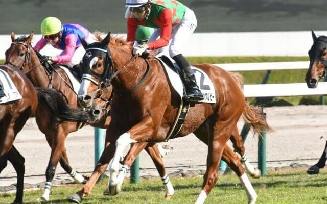 【阪神4R新馬戦結果】シゲルピンクルビーが人気に応え差し切りV、姉はシゲルピンクダイヤ