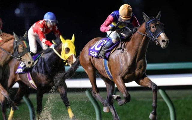 【盛岡・南部駒賞】北海道代表ギガキングが完勝！次走に全日本2歳優駿挑戦を表明