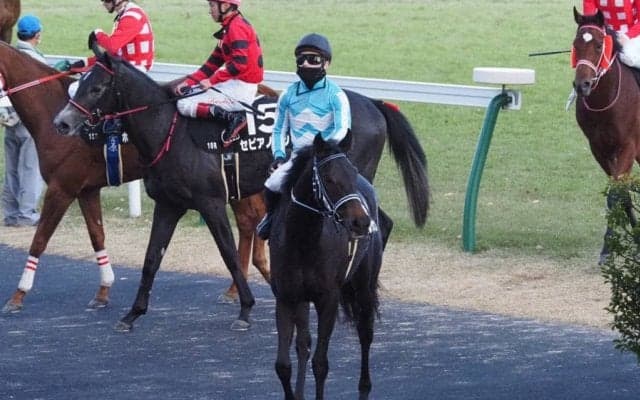 【福島2歳S】熊本産のルクシオンが直線一気で差し切る