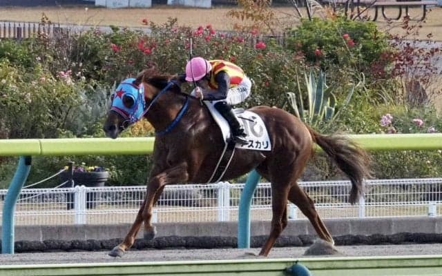 【福島9R】アスカリが5馬身差圧勝！人気に応える