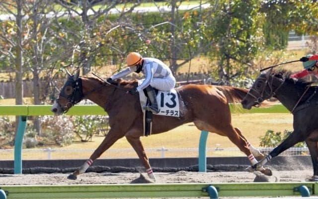 【福島3R】ノーチラスがゴール前の接戦を制してV！全姉はグアン