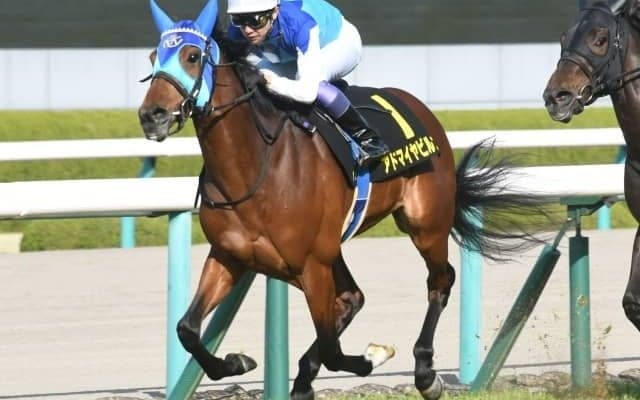 【アンドロメダS】6億円ホース・アドマイヤビルゴは54kg、福島記念を除外のパンサラッサは53kg