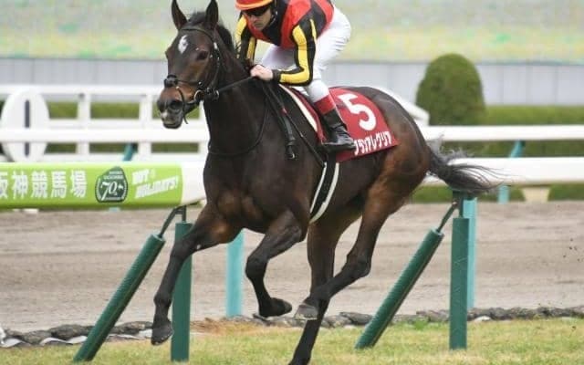 【マイルCS見どころ】グランアレグリアが春秋マイルGI制覇を狙う