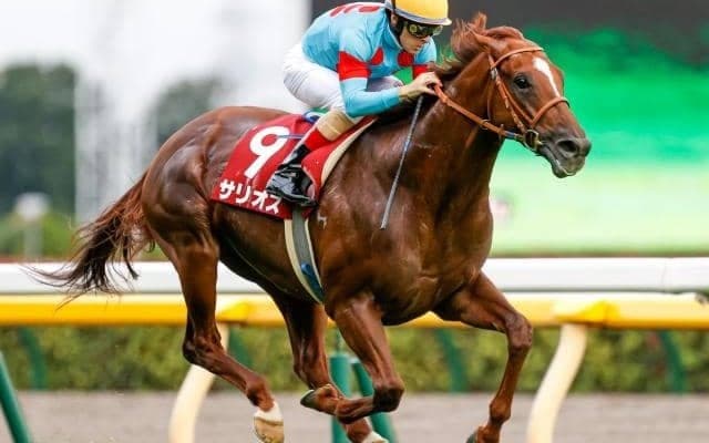 JRAは3日間開催 GIマイルCS＆GIII東京スポーツ杯2歳Sに注目/今週の競馬界の見どころ