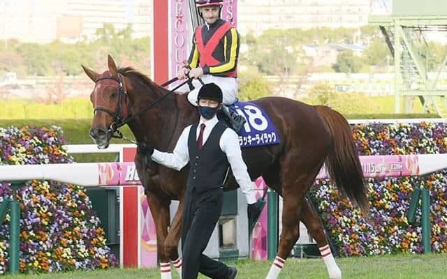 【エリザベス女王杯回顧】オルフェーヴル産駒の成功する配合パターン/栗山求コラム