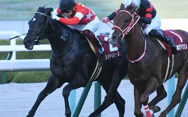 【デイリー杯2歳S杯回顧】レッドベルオーブ　無敗の三冠馬と同じニックス/栗山求コラム