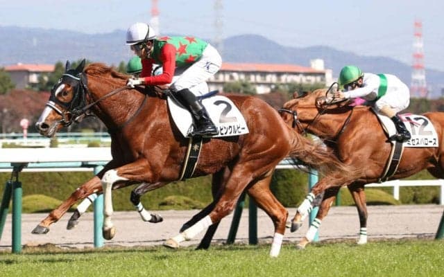 【新馬/阪神4R】モーリス産駒 シゲルピンクルビーがデビューV