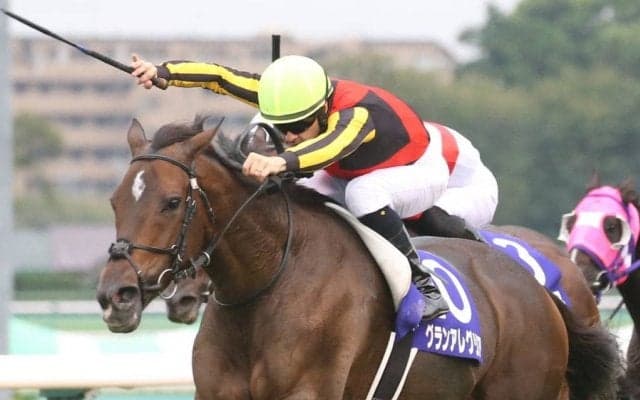 【マイルCS】出走馬の調教後の馬体重