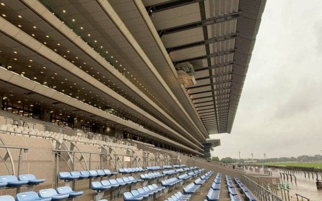 第5回中山競馬・第6回阪神競馬・第3回中京競馬におけるお客様のご入場