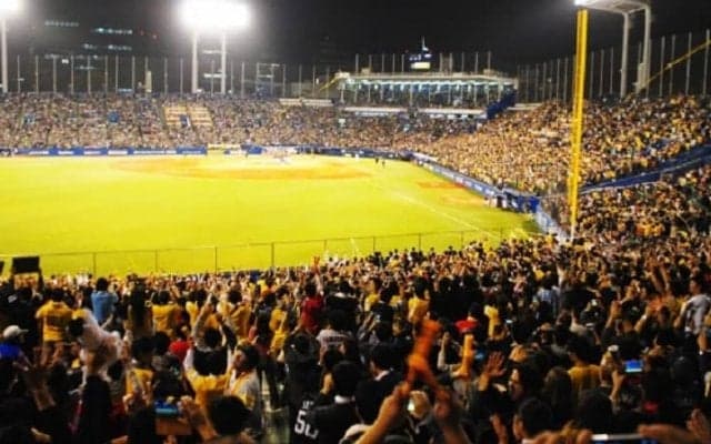 ヤクルトの神ドラフト年、残念ドラフト年はいつ？