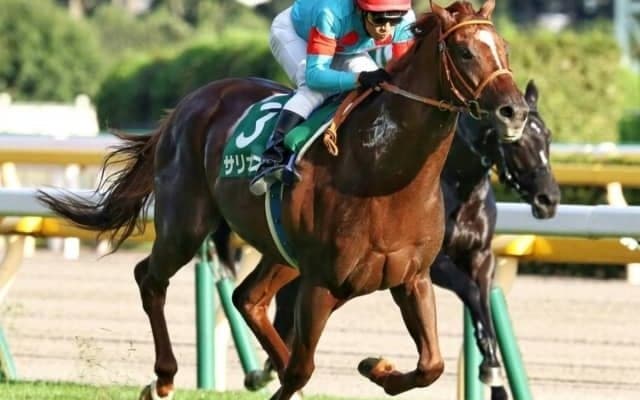 【本日の注目ポイント】秋のマイル王決定戦・マイルCS