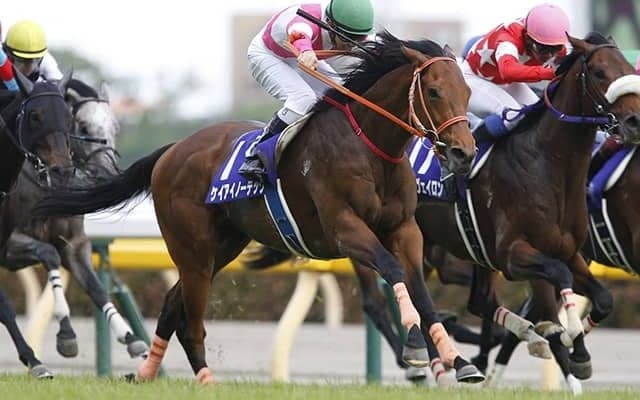 【マイルCS予想】 AIが人気落ち必至の“実力ある穴馬”を発掘！ 混戦GIに断を下すのは？/JRAレース展望