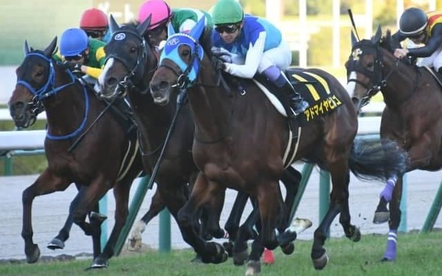 【アンドロメダS結果】3歳馬アドマイヤビルゴが差し切り2連勝
