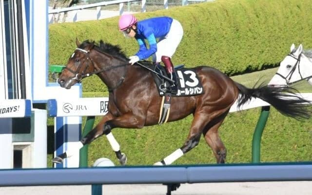 【もちの木賞結果】8番人気のホールシバンが差し切り快勝