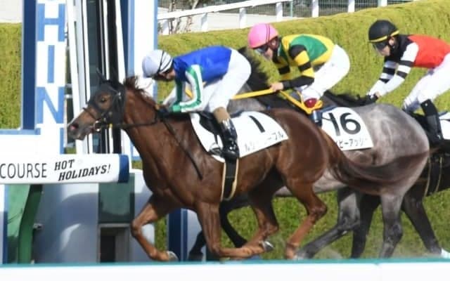 【阪神6R新馬戦結果】5番人気ルシャリーブルが初陣飾る