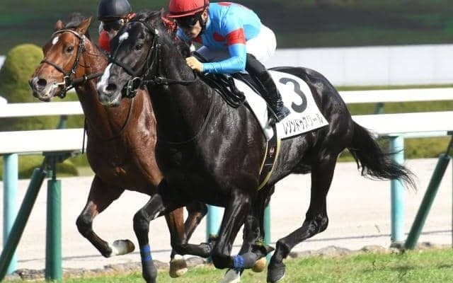 【阪神5R新馬戦結果】レゾンドゥスリールが人気に応えてV