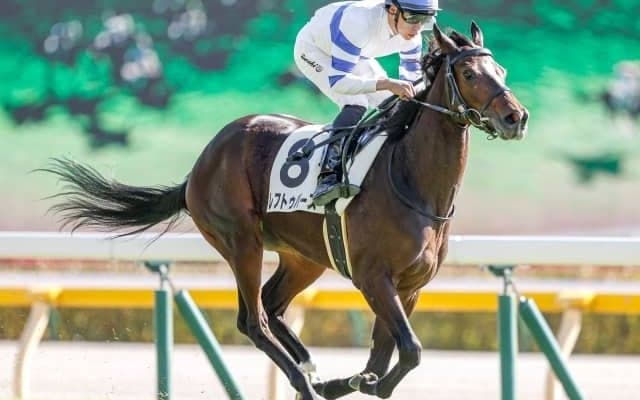 【東京5R新馬戦結果】レフトゥバーズが突き抜け快勝