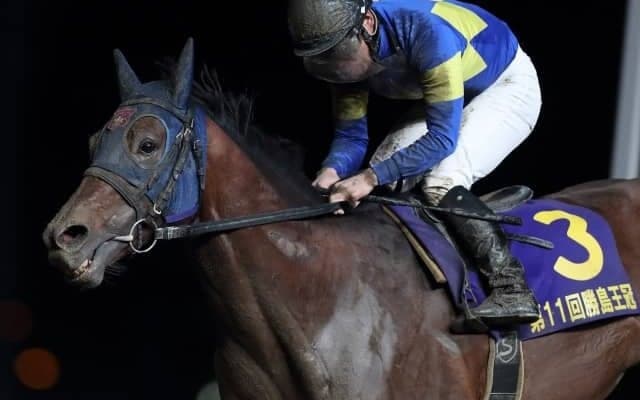 【次走】モジアナフレイバーは勝島王冠を視野