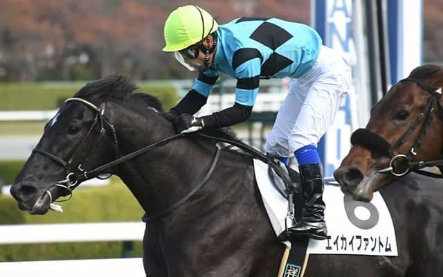 【阪神4R・2歳未勝利】単勝141.7倍エイカイファントムがV　開業20年目の藤原英昭厩舎、初の単勝万馬券