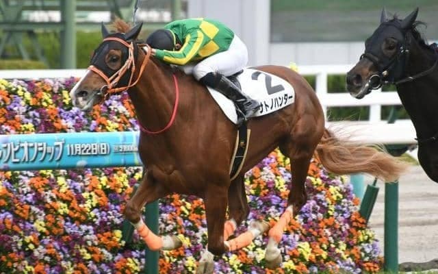 【阪神5R新馬戦結果】サトノハンターが接戦を制し新馬勝ち