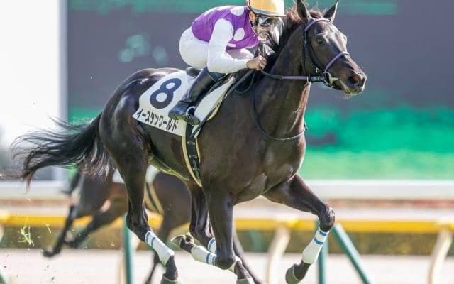 【東京5R新馬戦結果】イースタンワールドが好位から抜け出し快勝