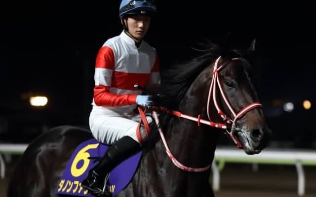 【浦和記念枠順確定】ダノンファラオは6枠6番、デルマルーヴルは7枠9番