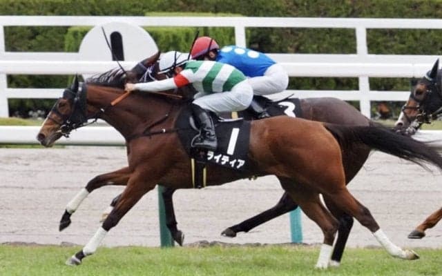 【甲東特別】良血ライティア3勝目をマーク