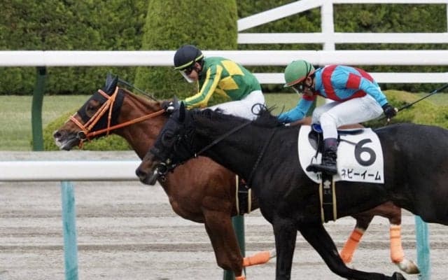 【新馬/阪神5R】ハービンジャー産駒 サトノハンターがデビューV